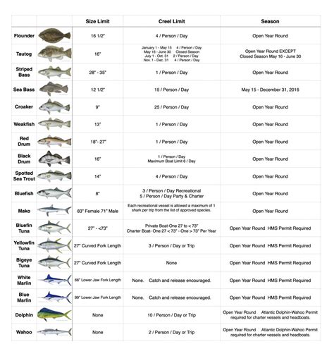 bc saltwater fishing regulations 2023.